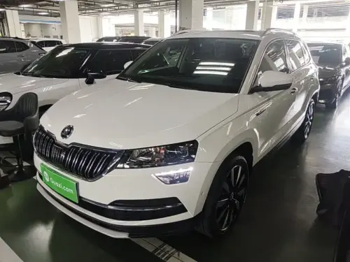 Skoda Karoq, 2020