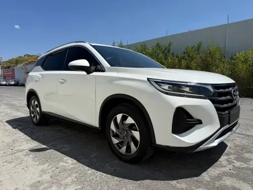 GAC GS4, 2020