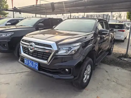 Dongfeng Rich 6, 2021