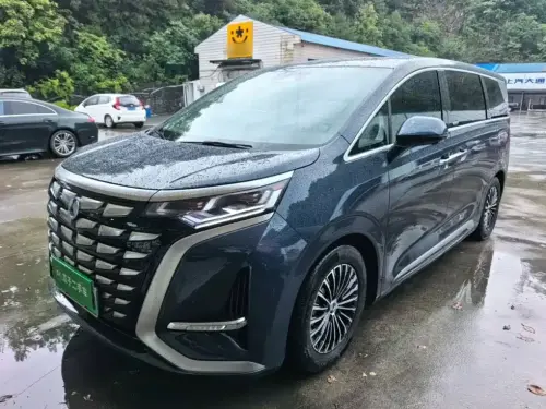 Denza D9, 2024