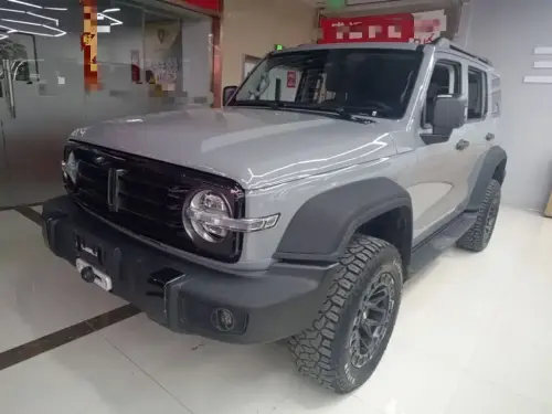 Tank 300, 2021
