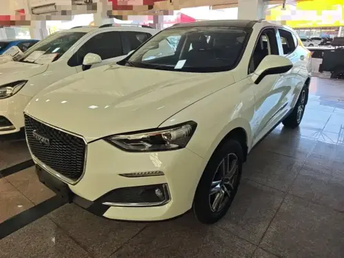 Haval F5, 2020