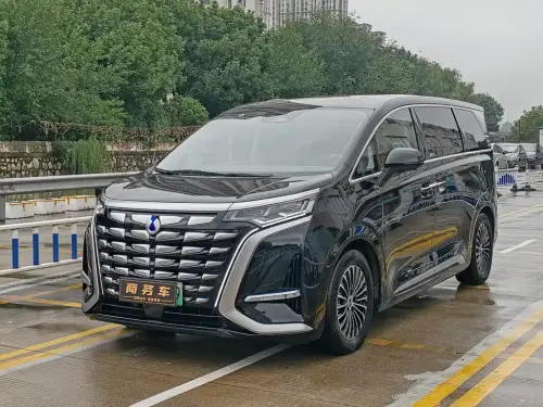Denza D9, 2023
