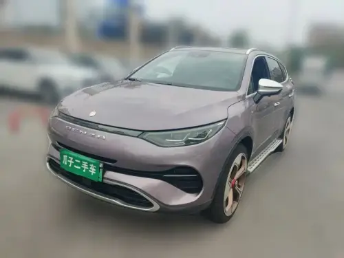 Denza X, 2021