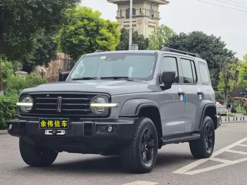 Tank 300, 2021