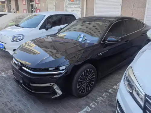 Volkswagen Magotan, 2024