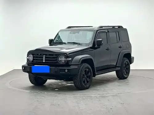 Tank 300, 2021