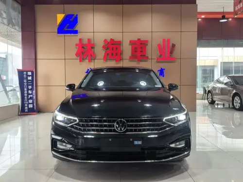 Volkswagen Magotan, 2024