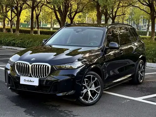 BMW X5, 2024