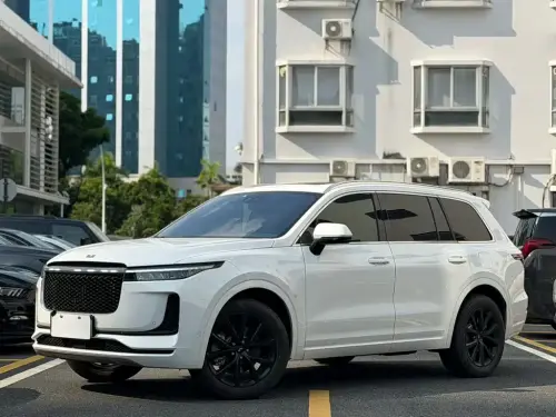 Li Auto ONE, 2021