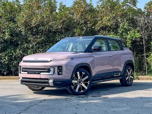 Geely ICON, 2024
