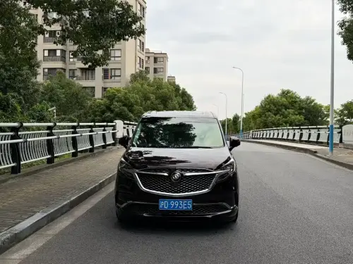 Buick GL8, 2020
