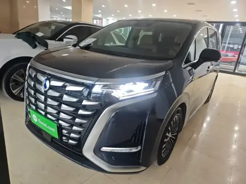 Denza D9, 2024