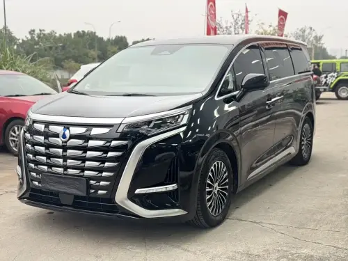 Denza D9, 2024