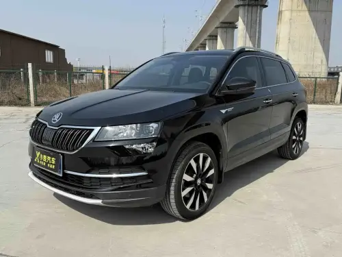 Skoda Karoq, 2021