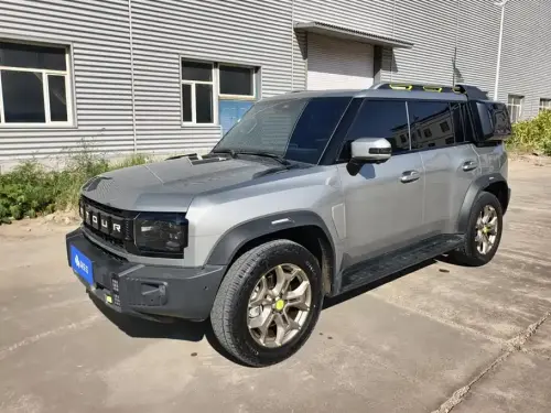 Jetour Traveler, 2024
