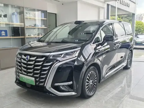 Denza D9, 2025