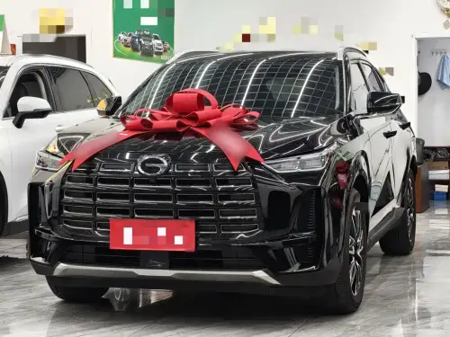 GAC GS4, 2024