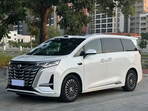 Denza D9, 2025