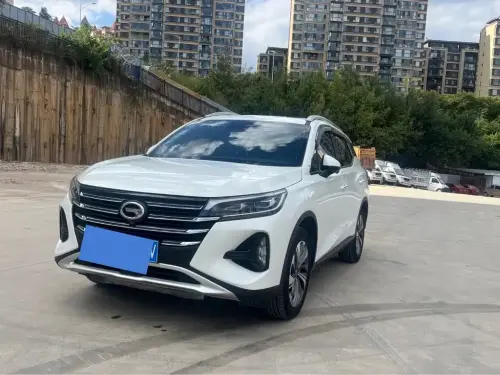GAC GS4, 2020