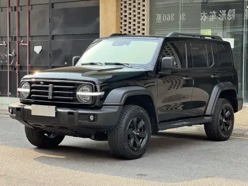 Tank 300, 2021