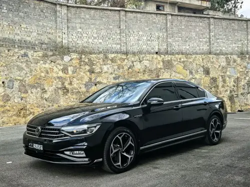 Volkswagen Magotan, 2024