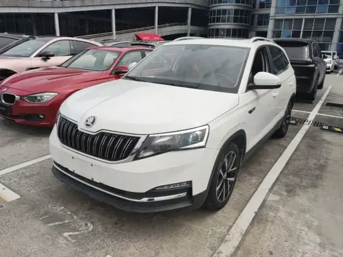 Skoda Kamiq, 2021