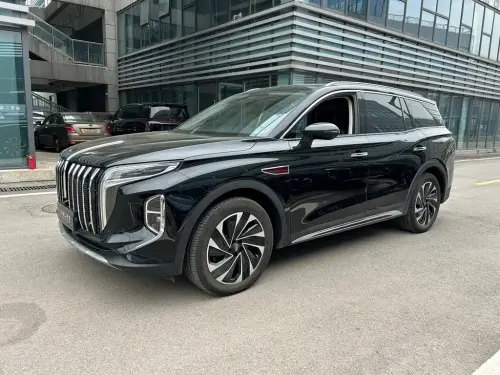 Hongqi HS7, 2024