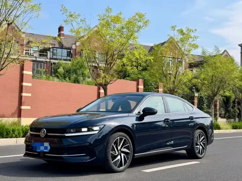 Volkswagen Magotan, 2024