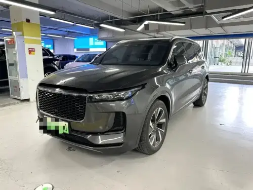 Li Auto ONE, 2021