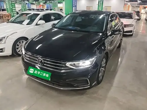 Volkswagen Magotan, 2024