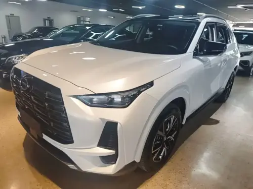 GAC GS4, 2025