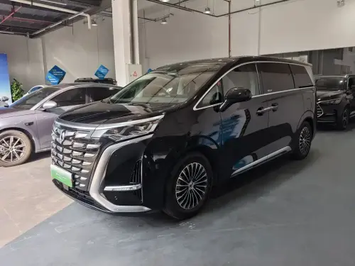 Denza D9, 2023