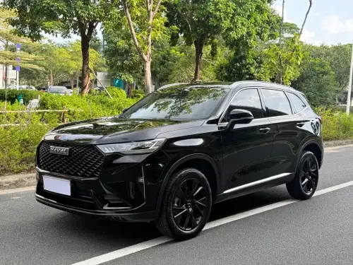 Haval H6, 2022
