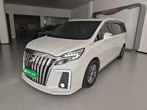 Buick GL8, 2022
