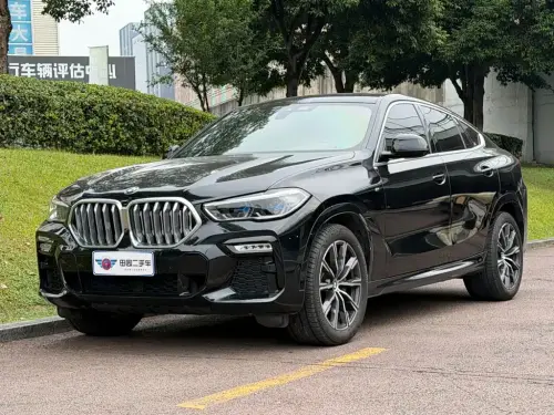 BMW X6, 2021