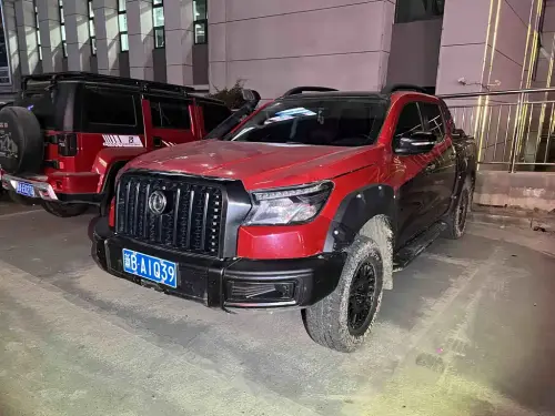 Dongfeng Rich 6, 2023