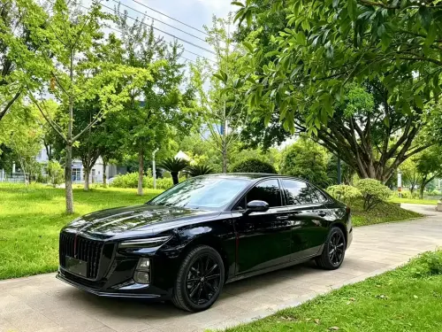 Hongqi H5, 2024