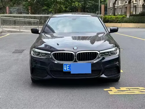 BMW 5-Series, 2020