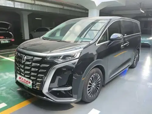Denza D9, 2024