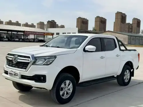 Dongfeng Rich 6, 2020