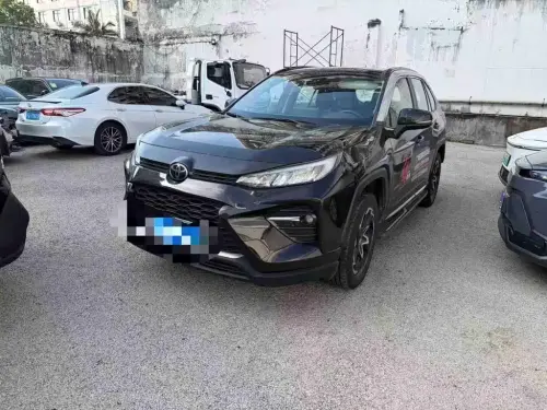 Toyota Wildlander, 2020