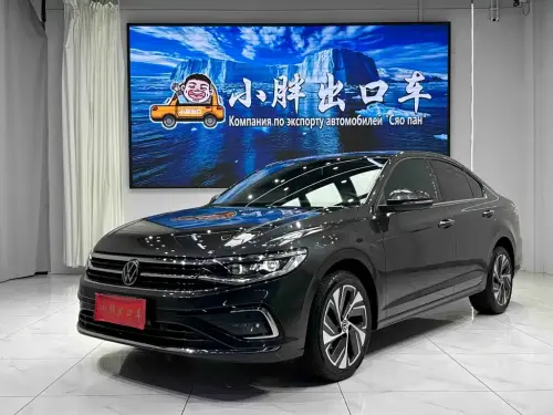 Volkswagen Bora, 2024