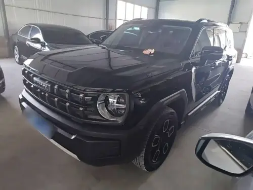 Haval Cool Dog, 2022