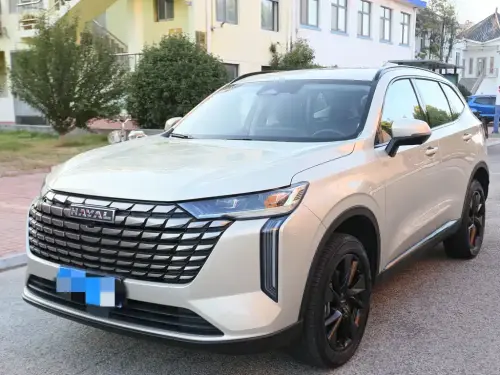 Haval H6, 2024