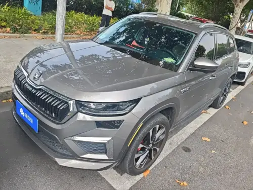 Skoda Kodiaq, 2024