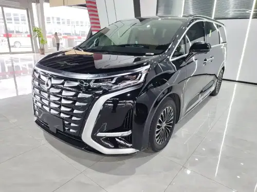 Denza D9, 2024