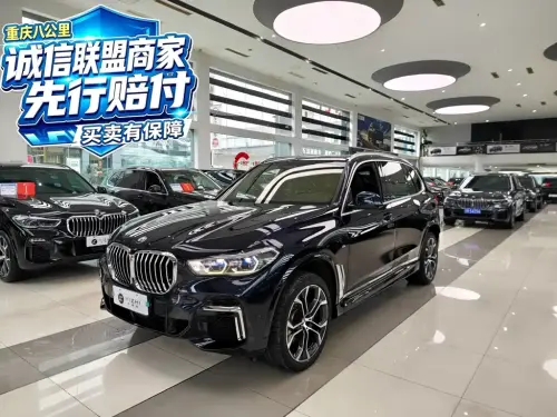 BMW X5, 2023