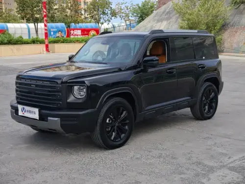 Haval Menglong, 2025