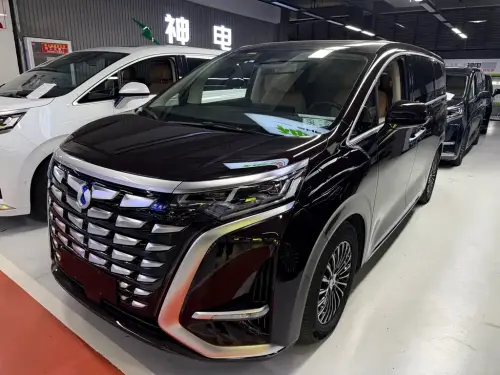 Denza D9, 2024